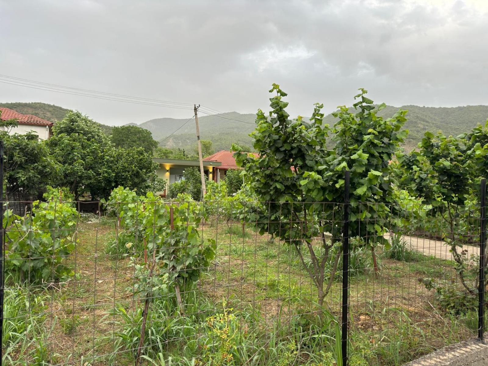 Green House Пермети Экстерьер фото